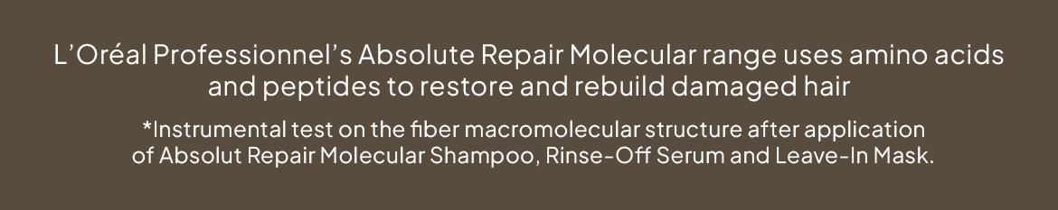 L'Oreal Absolut Repair Molecular