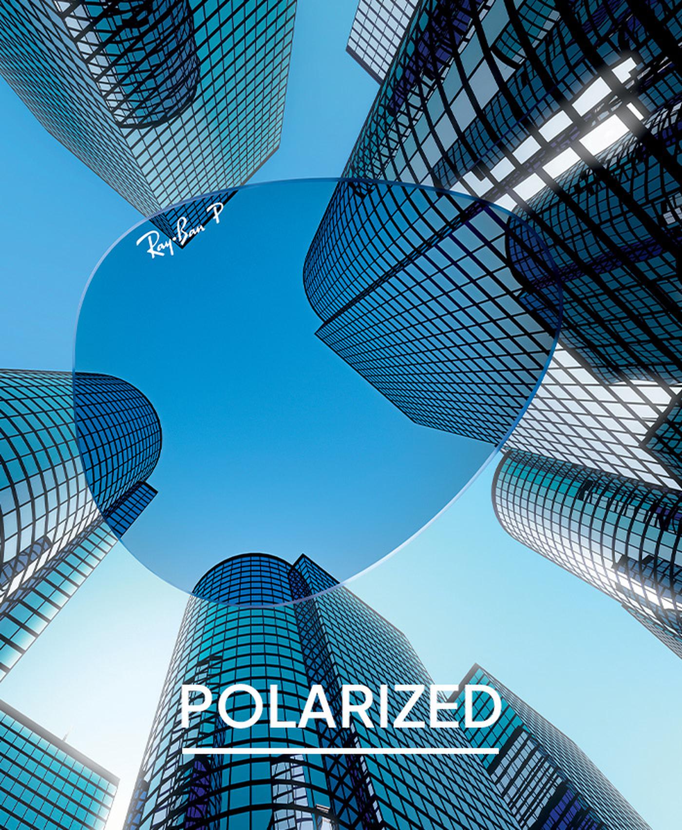 POLARIZED
