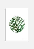 Shealeen Louise - Circular monstera leaf