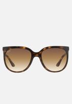 Ray-Ban - Cats 1000 crystal brown gradient RB4126 710/51 57 - brown & black 