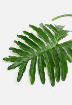 Silk By Design - Selloum leaf - green