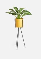Sixth Floor - Lana planter with stand - yellow