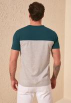 Trendyol - Stripe short sleeve tee - emrald green