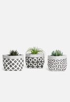 Inspired Vision Studios - Entrapta set of 3 succulent canvas planters - black