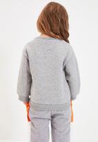 Trendyol - Plain sweatshirt - grey