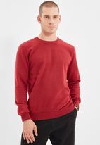 Trendyol - Ted regular fit sweater - burgundy