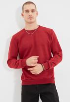 Trendyol - Ted regular fit sweater - burgundy