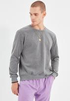 Trendyol - Ted regular fit sweater - anthracite