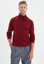 Trendyol - Vlad slim fit turtle neck knit - burgundy