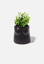Typo - Midi shaped planter-matte black boobs!