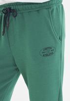 Trendyol - Printed regular fit sweatpants - green