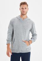 Trendyol - Cruzin regular fit hoodie - grey