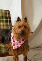 Typo - Pet club dog bandana - whisper pink 