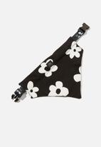 Typo - Pet club dog bandana - black & white