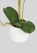 Silk By Design - Orchid phalaenopsis in ceramic pot - white