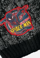 Character Group - Cable beanies spider-man - black & red 