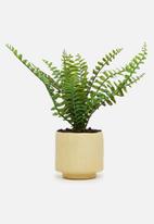 Silk By Design - Boston fern artificial plant - ceramic pot