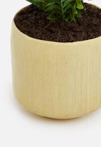 Silk By Design - Boston fern artificial plant - ceramic pot