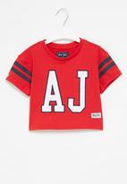 Aca Joe - Aca joe embroidered applique cropped baseball tee - red