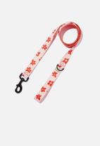 Typo - Pet club dog lead - whisper pink mid daisies fave child