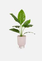 Silk By Design - Spath artificial plant - plastic black pot