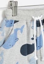 POP CANDY - Boys dolphin shorts - grey & blue 