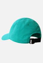 The North Face - Recycled horizon cap - porcelain green