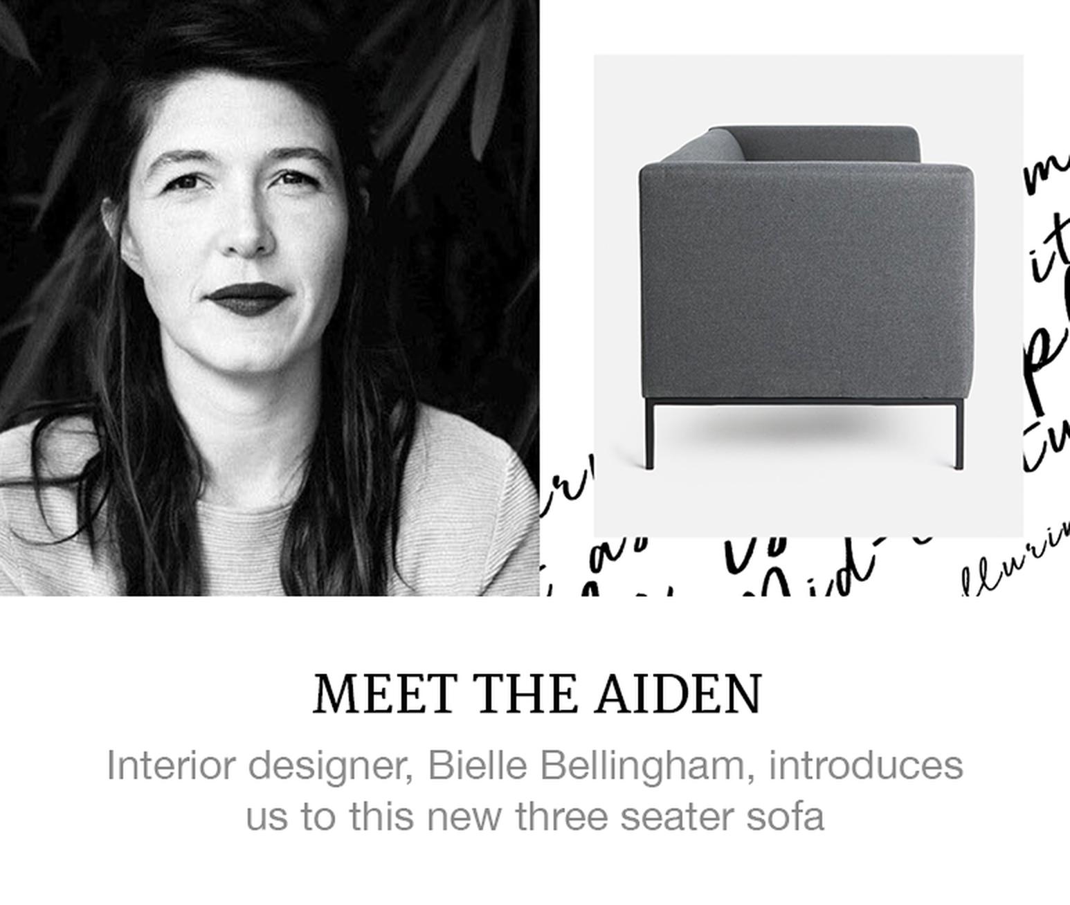 Meet The Aiden