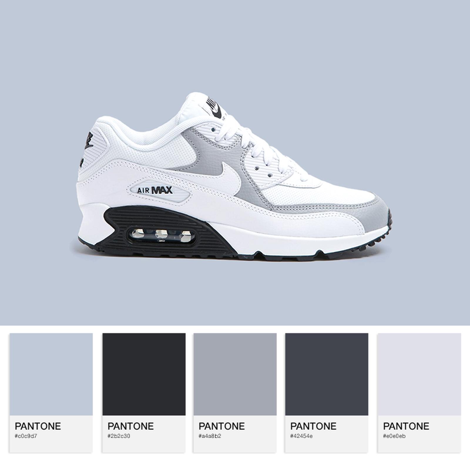 https://superbalist.com/women/shoes/sneakers/nike-w-air-max-90-ess-325213-126-white-wolf-grey-black/108493?ref=search
