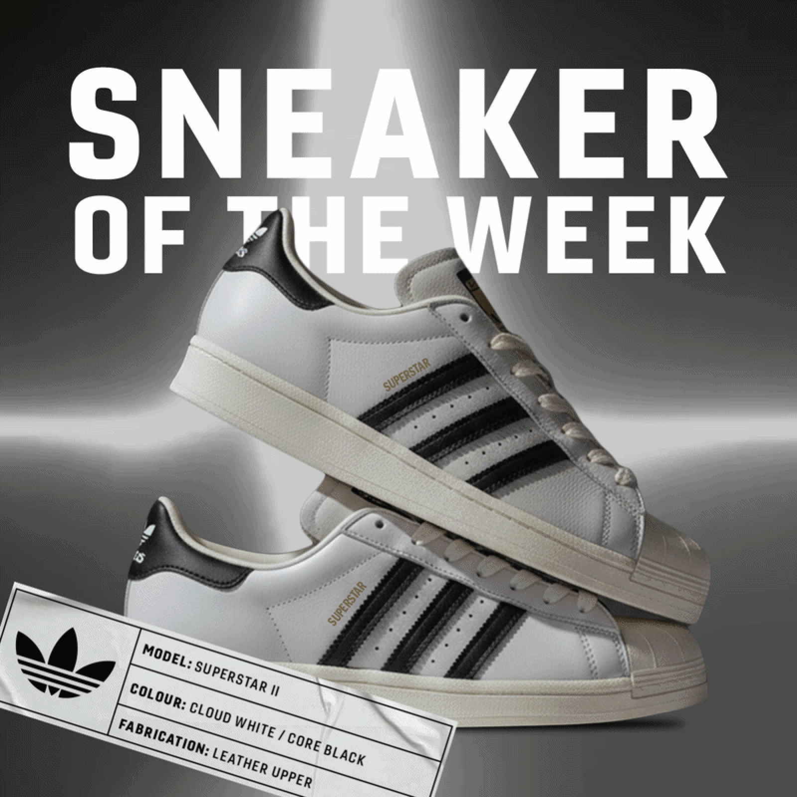 win sneakers online