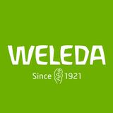 Brand Header
