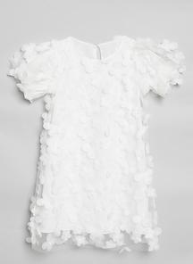 product-1532027