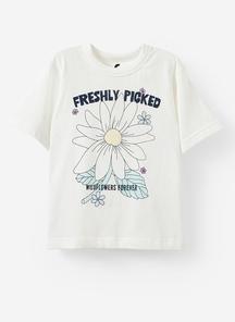 product-1542734