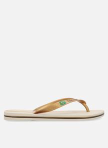 product-1520805