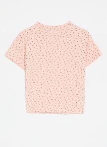 product-1541243
