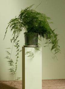 product-1748281
