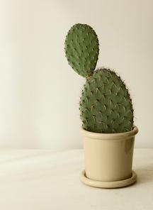 product-1750056