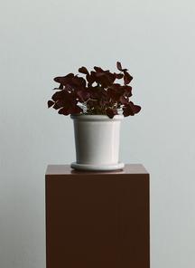 product-1758004