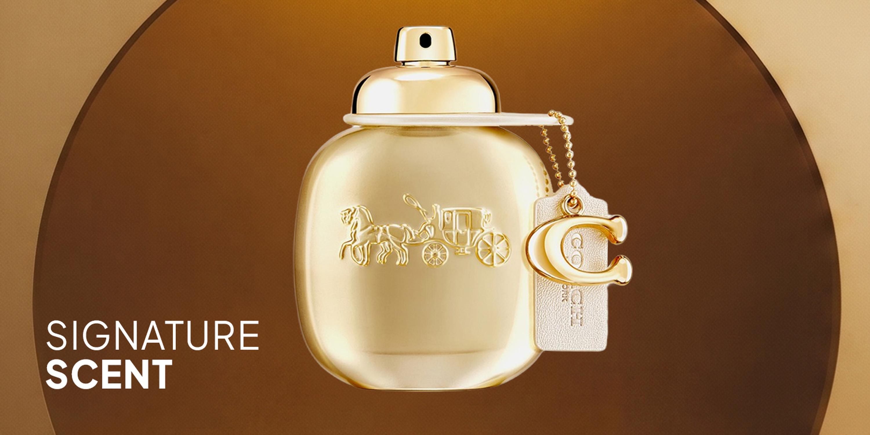 Luxury fragrance selection featuring Lattafa Dynasty perfume in an elegant glass bottle with a regal crown lid.