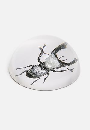 Glass paperweight - insect