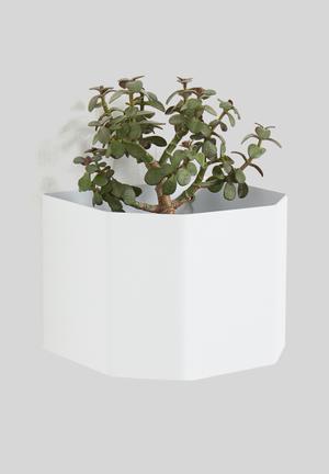 Wall mounted herb box - white
