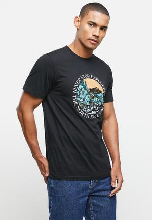 the north face graphic tees