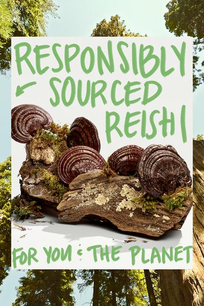 ENVIRONMENTALLY CONSCIOUS SKINCARE WITH ORIGINS