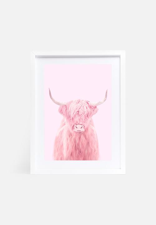 Paul Fuentes - Highland cow