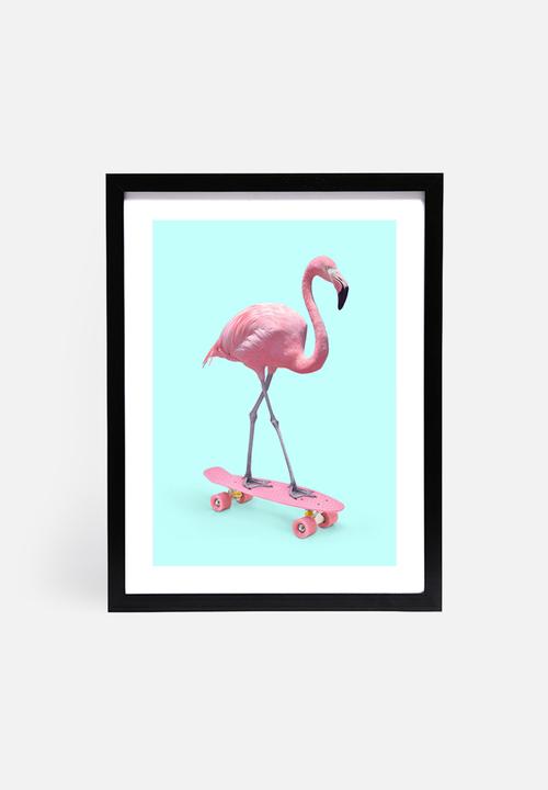 Paul Fuentes - Skate flamingo