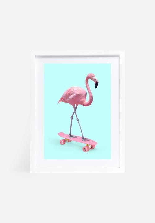 Paul Fuentes - Skate flamingo