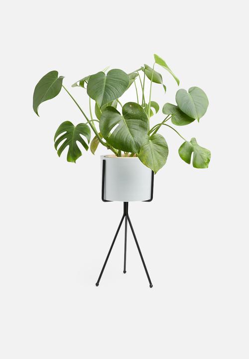 Sixth Floor - Bahati planter - white