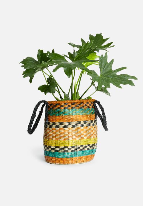 Sixth Floor - Fiesta basket - multi