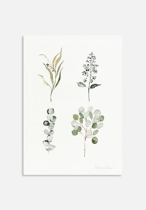 Shealeen Louise - Eucalyptus pieces