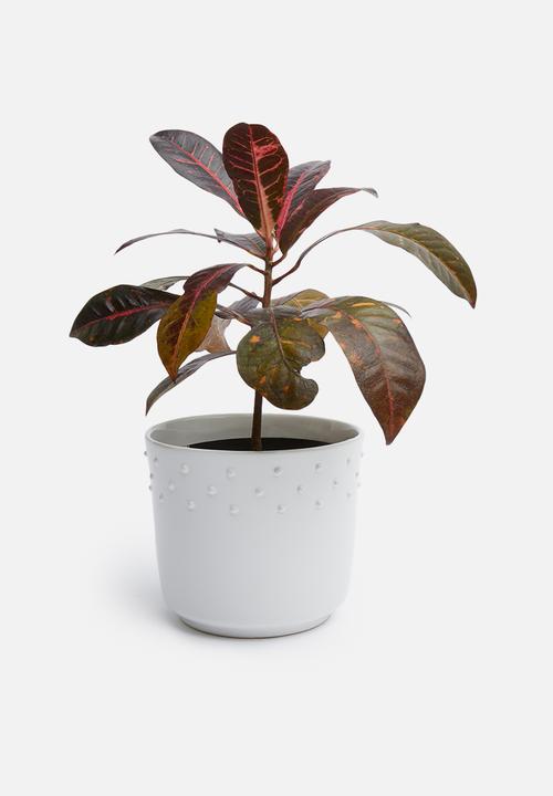 Urchin Art - Sierra outdoor planter - white